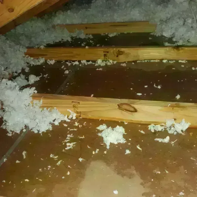 Attic Water Damage in Mayer, AZ