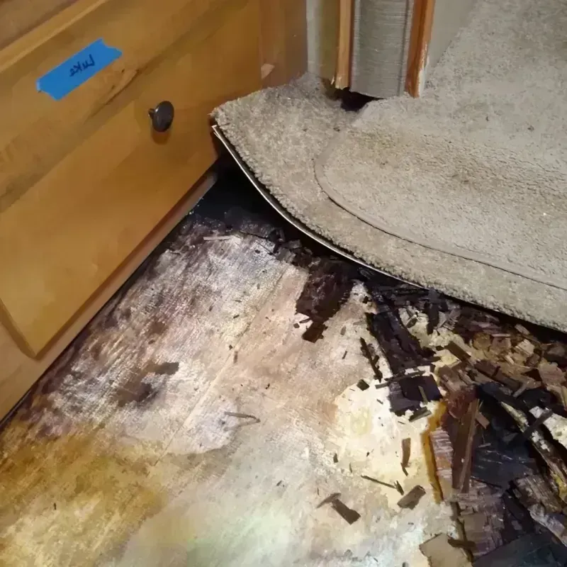 Wood Floor Water Damage in Mayer, AZ